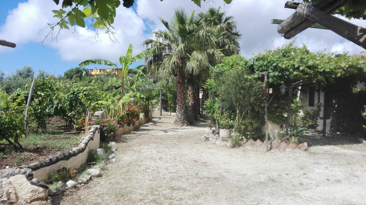Agriturismo Casa Del Contadino 드라피아 외부 사진