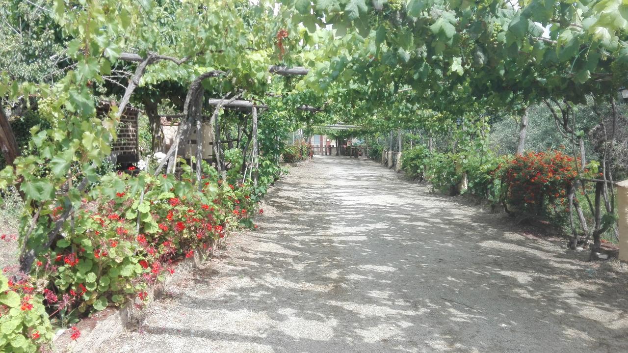 Agriturismo Casa Del Contadino 드라피아 외부 사진